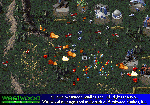 20080819082529-7.gif
