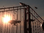 20080820073201-6.jpg