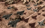 20081101174856-11.jpg