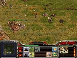 20081108170000-31.jpg