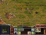 20081108172006-27.jpg