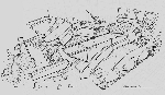 20120505232044-86.jpg