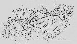 20120505232044-88.jpg
