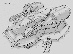 20120505232044-94.jpg